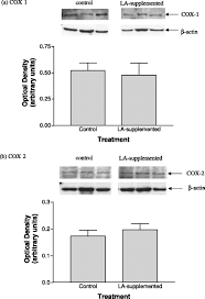 The effect of a diet supplemented with the n-6 polyunsaturated fatty acid  linoleic acid