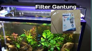 Cara Memasang Filter Gantung Aquarium P 501 Youtube