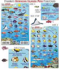 Hawaiian Mini Fish Card Frankos Fabulous Maps Of Favorite