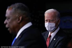 Image result for Bidens diversa