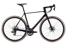 Image result for Orbea umbracula