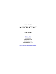 Image result for Endostemon tereticaulis