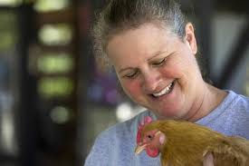 San Antonio's backyard chicken community vocal about no limits