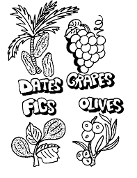 Today, many people mark this holiday by planting saplings and participating in a meal that evokes the passover seder, where fruits, nuts, and wine or grape . Tu B Shvat Coloring Pages Coloring Home