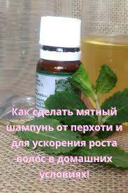 как избавиться от перхоти и выпадения волос в домашних условиях Odnoklassniki V 2020 G Shampun Volosy Perhot
