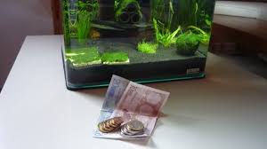 25 x 25 x 30 cm. Laufende Aquarium Kosten Was Kostet Ein Nano Aquarium