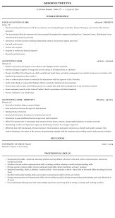 I believe that my education, skills and overall character make me a wonderful candidate for this role. Accounting Clerk Resume Sample Mintresume