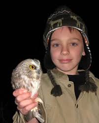 Hawk Ridge Bird Observatory