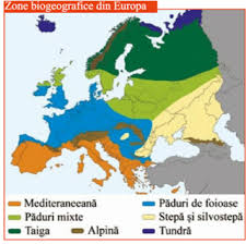 Vegetaţia ţarii noastre cuprinde mai multe zone şi etaje. Lectii De Geografie VegetaÈ›ia Fauna È™i Solurile Europei