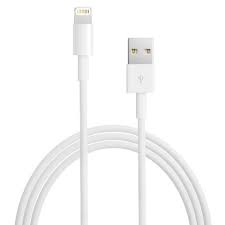 Apple Lightning To Usb Cable 0 5 M Usb Iphone Charger Charger