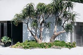 Check spelling or type a new query. 44 Backyard Landscaping Ideas To Inspire You