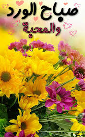 صباح الورد good morning greetings morning greeting morning images
