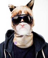 Her neck piece makes her unique and instantly recognizable all around the globe. Animal Ski Masks