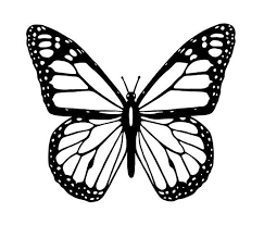 Butterfly Black And White Butterfly Poster By Tom Hill Designer In 2021 White Butterfly Tattoo Monarch Butterfly Tattoo Butterfly Tattoo