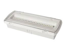 Ceiling Emergency Light Led Emergency Lights Emergency Lighting Ceiling Lights