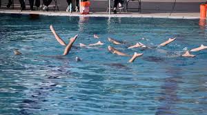 The 2020 cactus classic meet will be postponed. San Diego Sea Stars Cactus Classic Invitational 2020 Top Gun Routine Youtube