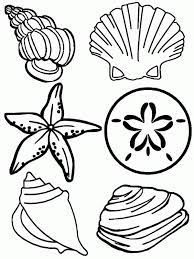 Check spelling or type a new query. Seashell For Kids Coloring Pages For Kids And For Adults Coloring Home