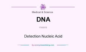 Dna Detection Nucleic Acid By Acronymsandslang Com