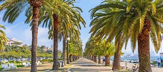 La spezia map print, custom city map print, la spezia map print, la spezia wall art, la spezia map poster, custom map design, la spezia map adventuremapsstudio. La Spezia