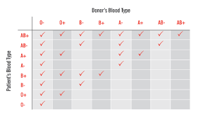 About Blood Types Australian Red Cross Lifeblood