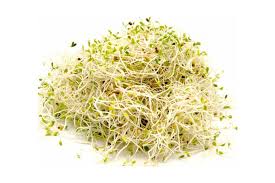 Cats can eat rice to help settle their stomach. How To Sprout A Guide To Soaking Sprouting Nutrition Refined