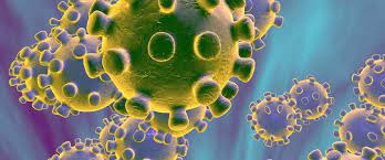 But today, that home is in grave. Corona Virus Updates Kaya Responsible Travel