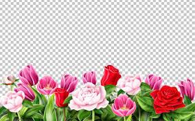 Check spelling or type a new query. Elegant Floral Frame On Transparent Background Peonies Roses Royalty Free Cliparts Vectors And Stock Illustration Image 115214555