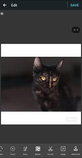 Photo grid premium apk + mod download for android. Photo Grid Collage Maker 8 13 Descargar Para Android Apk Gratis