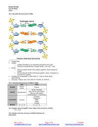 Honors Biology Ch 10 Notes Dna