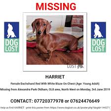 We help lives, four paws at a time. Dachshund Rescue Uk Ukdachshund Twitter