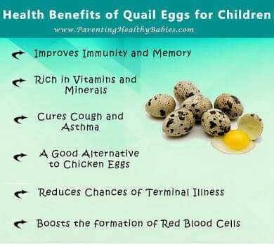 QUAIL EGGS product image