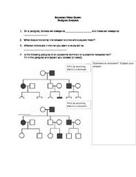 Bozeman Video Guide Pedigree Analysis By Kathy Sci Tpt