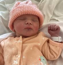 Here are Greater Sudbury's newest additions