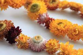 Yellow Dried Flower Garland Paper Daisy Chain Everlasting Etsy In 2021 Hanging Flower Wall Floral Wall Paper Daisy