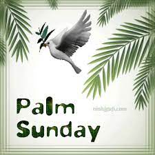 Top 30 Palm Sunday Gifs Find The Best Gif On Gfycat