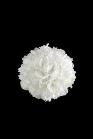 It can be carried by the bride, her bridesmaids or the flower girl. Blossom Kissing Ball 17cmd Holstens