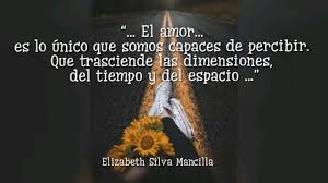Trascendencia De El Amor Amor No Me Importa Trascender