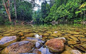 Have you been to taman negeri endau rompin? Taman Negara Endau Rompin Malaysia Tourism Endau Rompin National Park Taman Negara