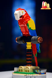 It airs on channel 9 on sundays (7pm), mondays. Create Your Own Lego Masters Australia Break And Make Parrot