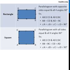 types of quadrilaterals jasonkellyphoto co