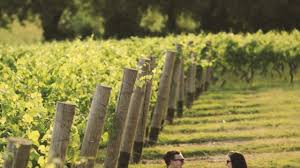 Every wednesday evening at 5.00pm between april and october, with an additional tour at 5.00pm on thursdays throughout august. 12 Best Vineyards To Visit And Tour In England And Wales In 2019