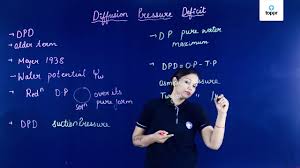 Diffusion Pressure Deficit In Hindi Biology Video Lectures