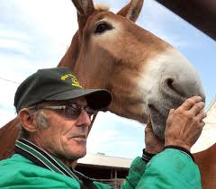 Getting in the 'mule'-tide spirit in Collinsville