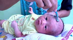 Salah satu sunnah ketika bayi yang baru lahir adalah mencukur rambut bayi tersebut. Cara Mencukur Rambut Bayi Baru Lahir Saat Aqiqah Tanpa Nagis Mencukur Bayi Youtube
