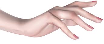 Image result for hands