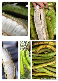 Profile for G&m Tesoros De Mi Tierra