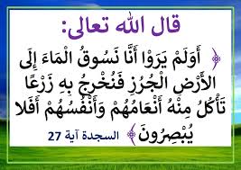آيات وأقوال عن أهمية الماء قيمة الماء دور الماء في الحياة موقع مدرستي