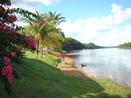 Babunhol Suriname Tuin Ideeen Tuin