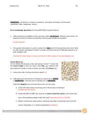 Access to all gizmo lesson materials, including answer keys. 75 Cell Division Answer Key Vocabulary Cell Division Centriole Centromere Chromatid Chromatin Chromosome Cytokinesis Dna Interphase Mitosis Prior Course Hero