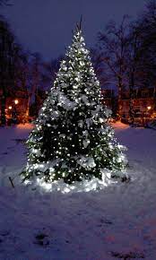 Outdoor Christmas Tree Lights Www Lights4fun Co Uk Outdoor Christmas Tree Christmas Lights Outside Outdoor Christmas Lights